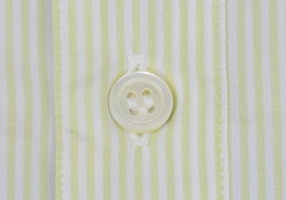 Papas Green Stripe Cotton Short Sleeve Shirt Size L