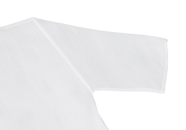 PLEATS PLEASE Mist Pleated High Neck T-Shirt White Size 3