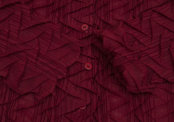 ISSEY MIYAKE WHITE LABEL Zigzag Pleated Shirt Red Size 3