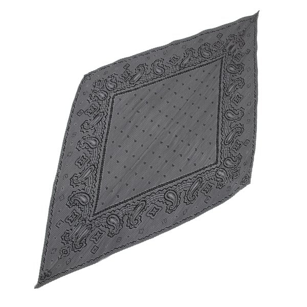 ISSEY MIYAKE Paisley Print Scarf Gray