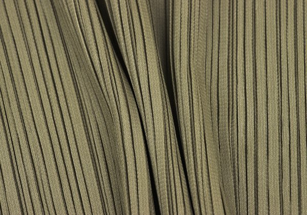 PLEATS PLEASE Pleated High Neck Long Sleeve Top Green Size 3