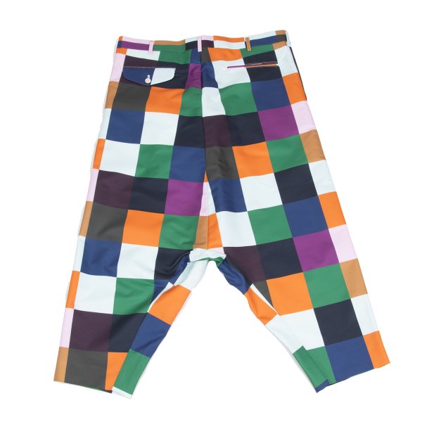 COMME des GARCONS HOMME PLUS 23SS Block Pants Multi Size M