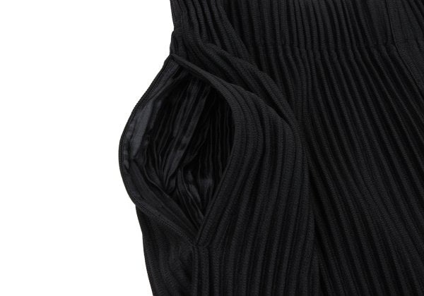 HOMME PLISSE ISSEY MIYAKE Pleated Pants Black Size 1