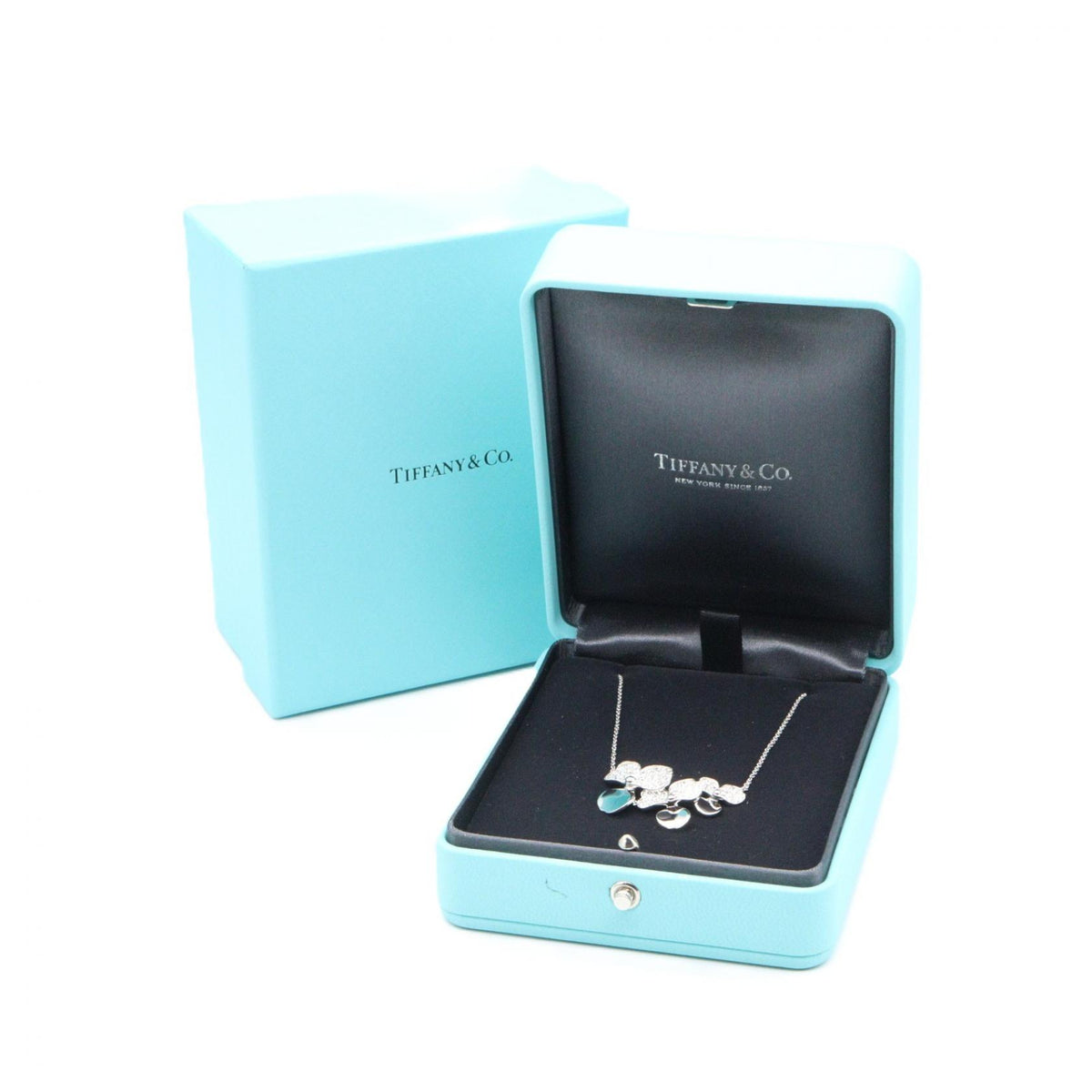 TIFFANY&CO Paperflower Pt950 Necklace