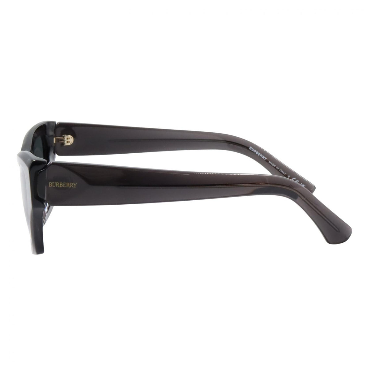 BURBERRY Plastic Sunglasses Black