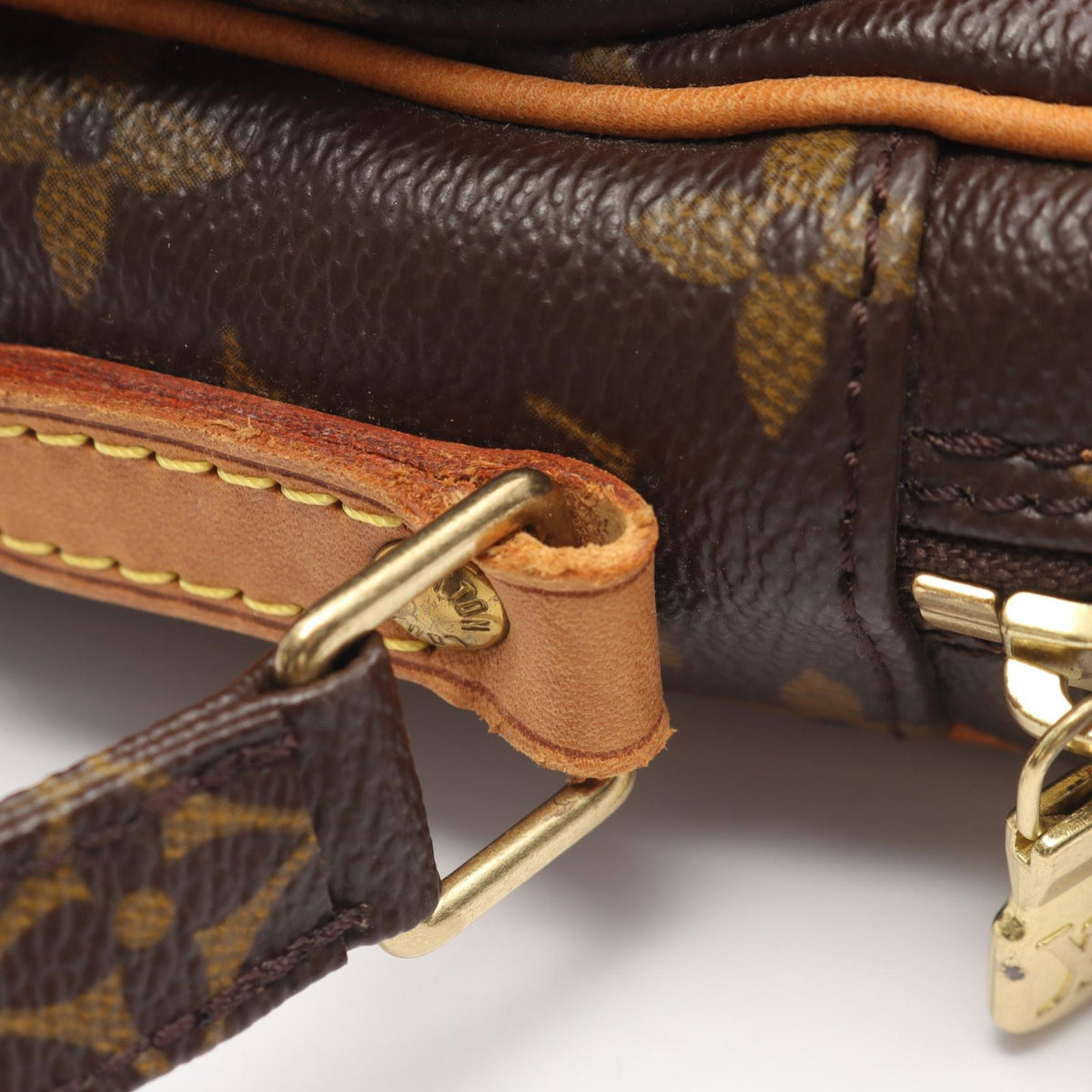 LOUIS VUITTON Amazon Monogram Bag Brown