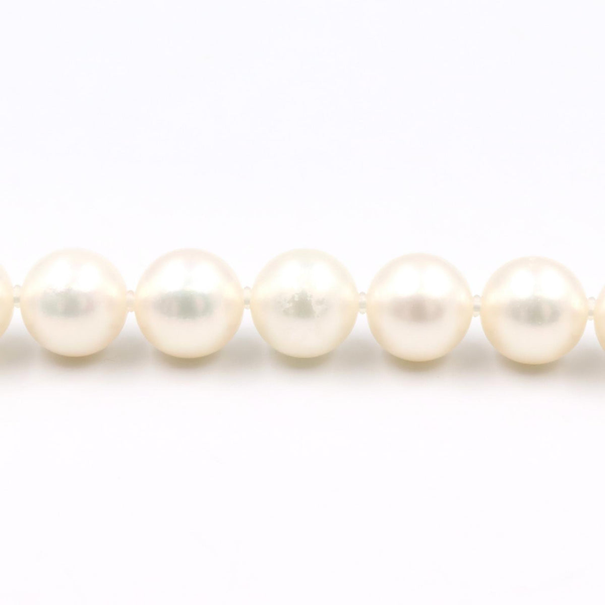 JEWELRY Pearl Silver925 Necklace White