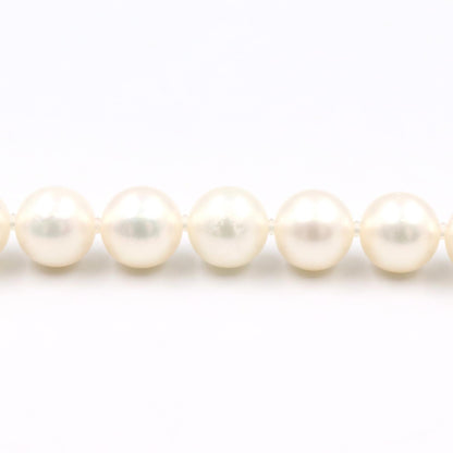 JEWELRY Pearl Silver925 Necklace White