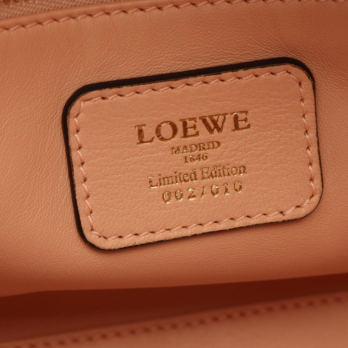 LOEWE Amazona 28 Leather Handbag Pink