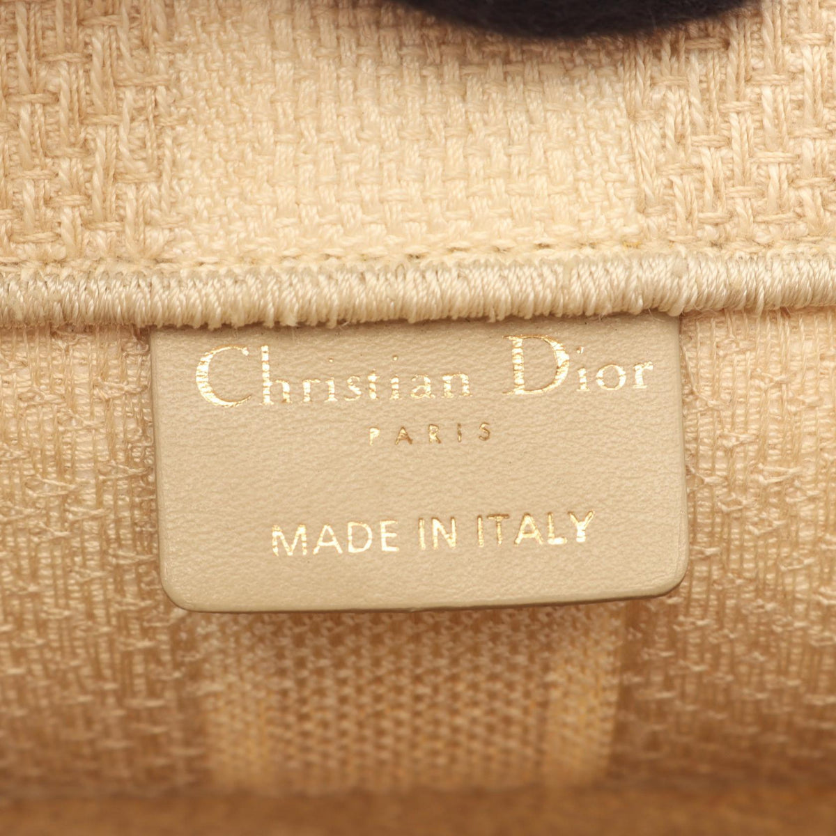 Dior Book Tote Medium Canvas Tote Bag