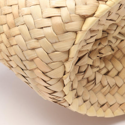 LOEWE Small Raffia Leather Bag Beige