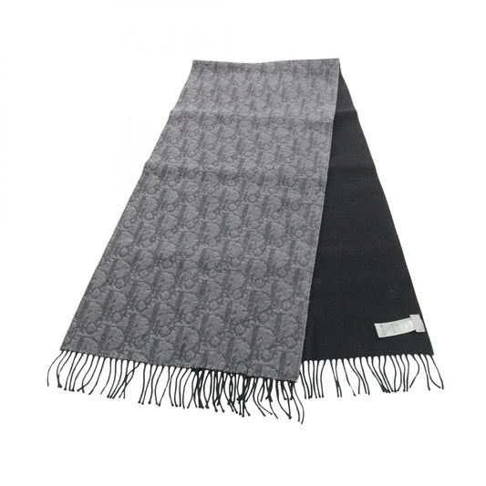 Dior Oblique Double Face Reversible Scarf