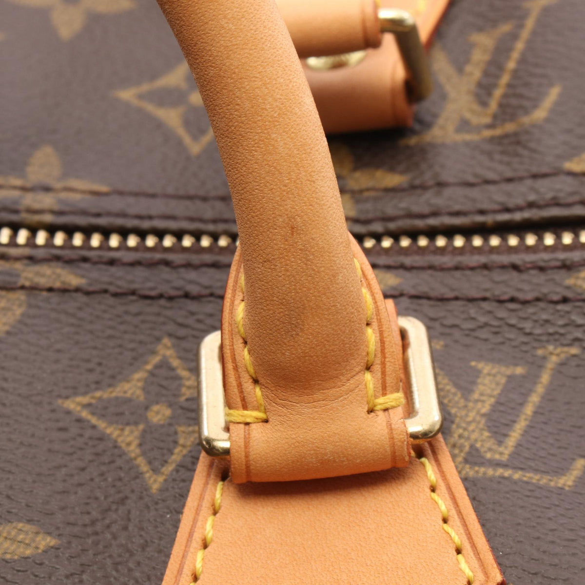 LOUIS VUITTON Speedy 40 Canvas Bag