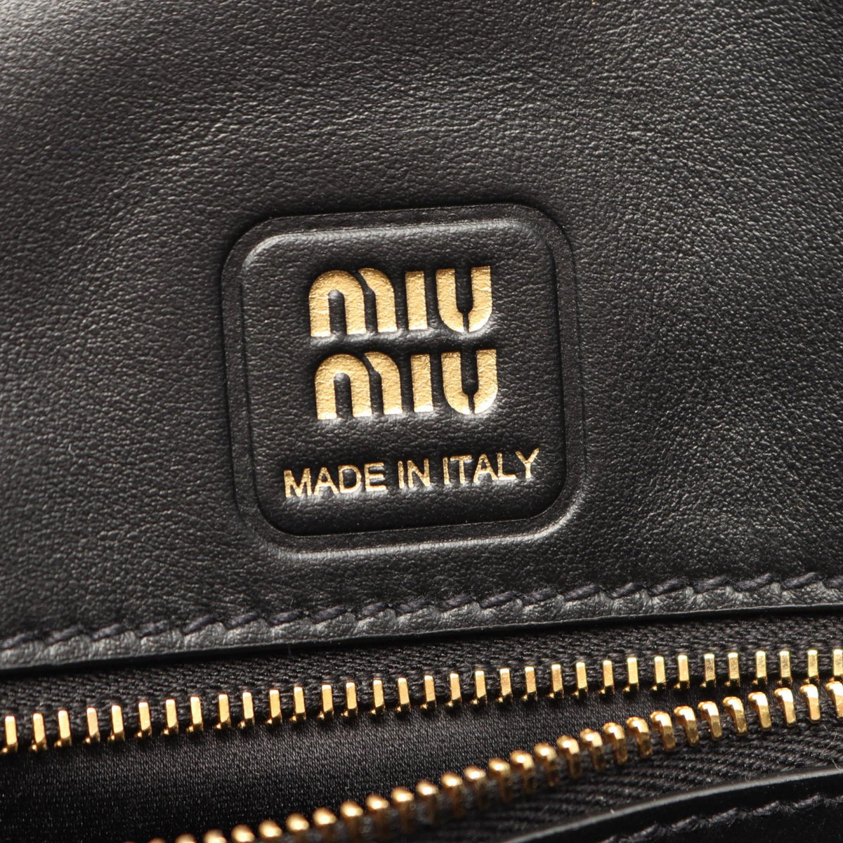 Miu Miu CRM FINE CALF Black 2WAY Handbag