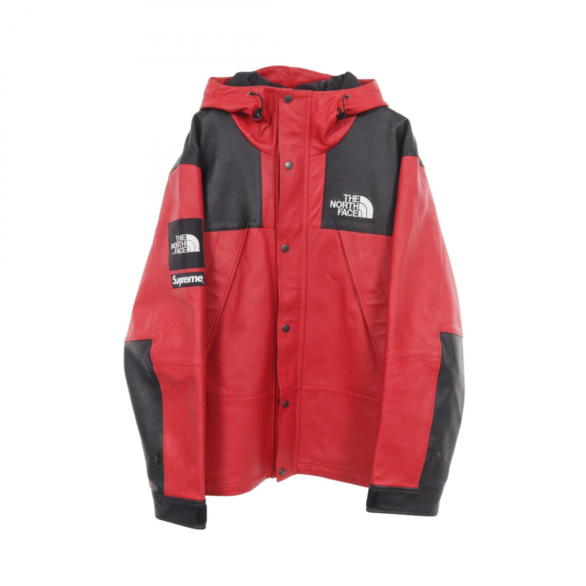 Supreme x THE NORTHFACE Leather Mountain Parka Size L