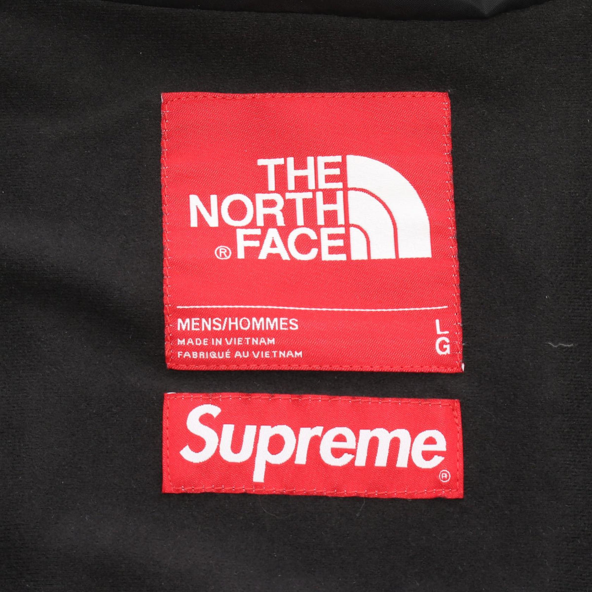 Supreme x THE NORTHFACE Leather Mountain Parka Size L