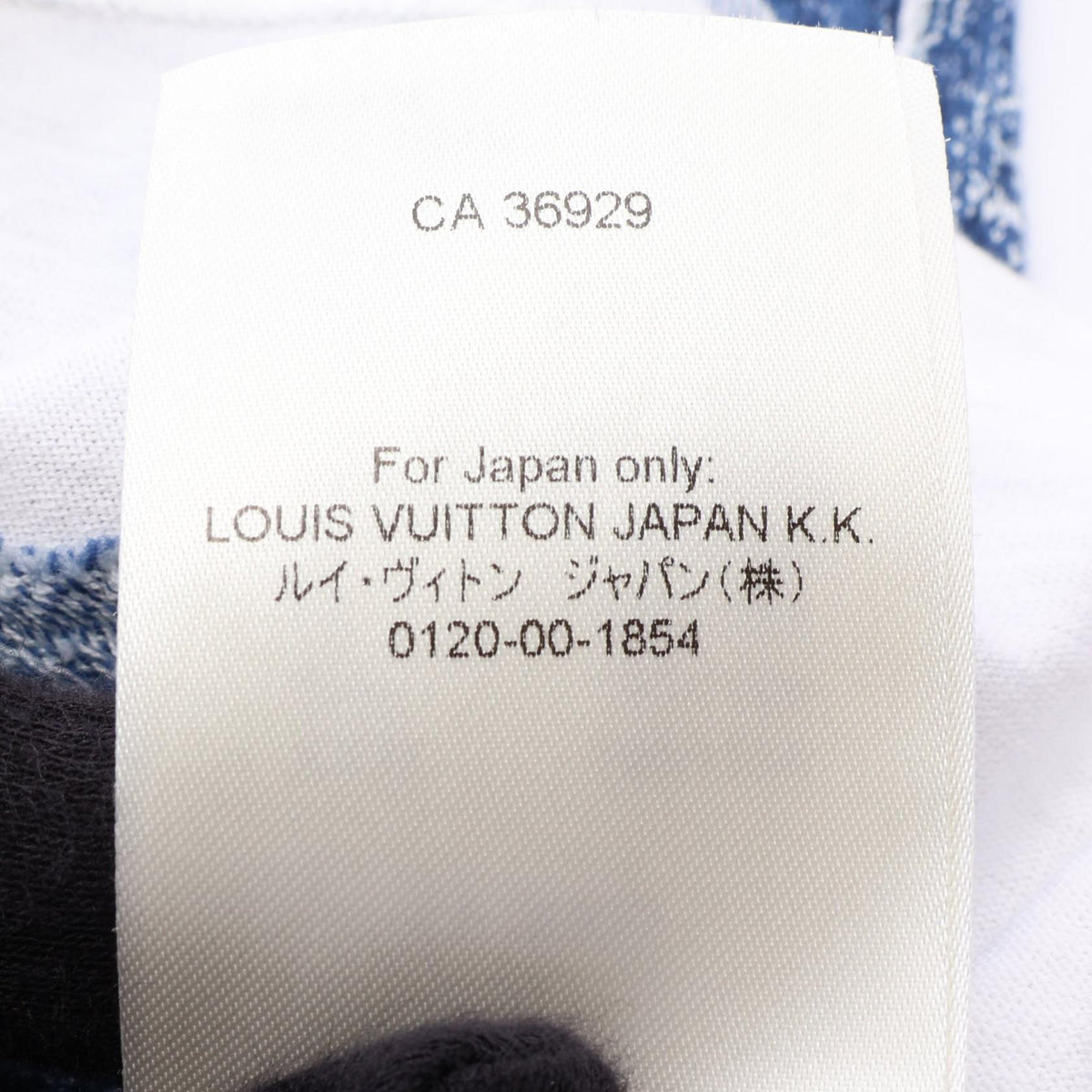 LOUIS VUITTON Graphic Monogram T-Shirt Blue Size L