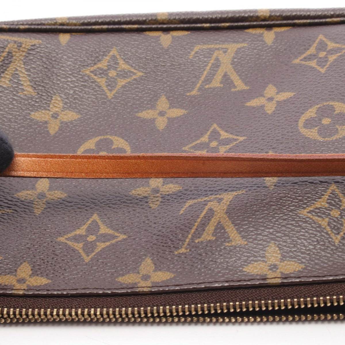LOUIS VUITTON Monogram Accessoires Handbag