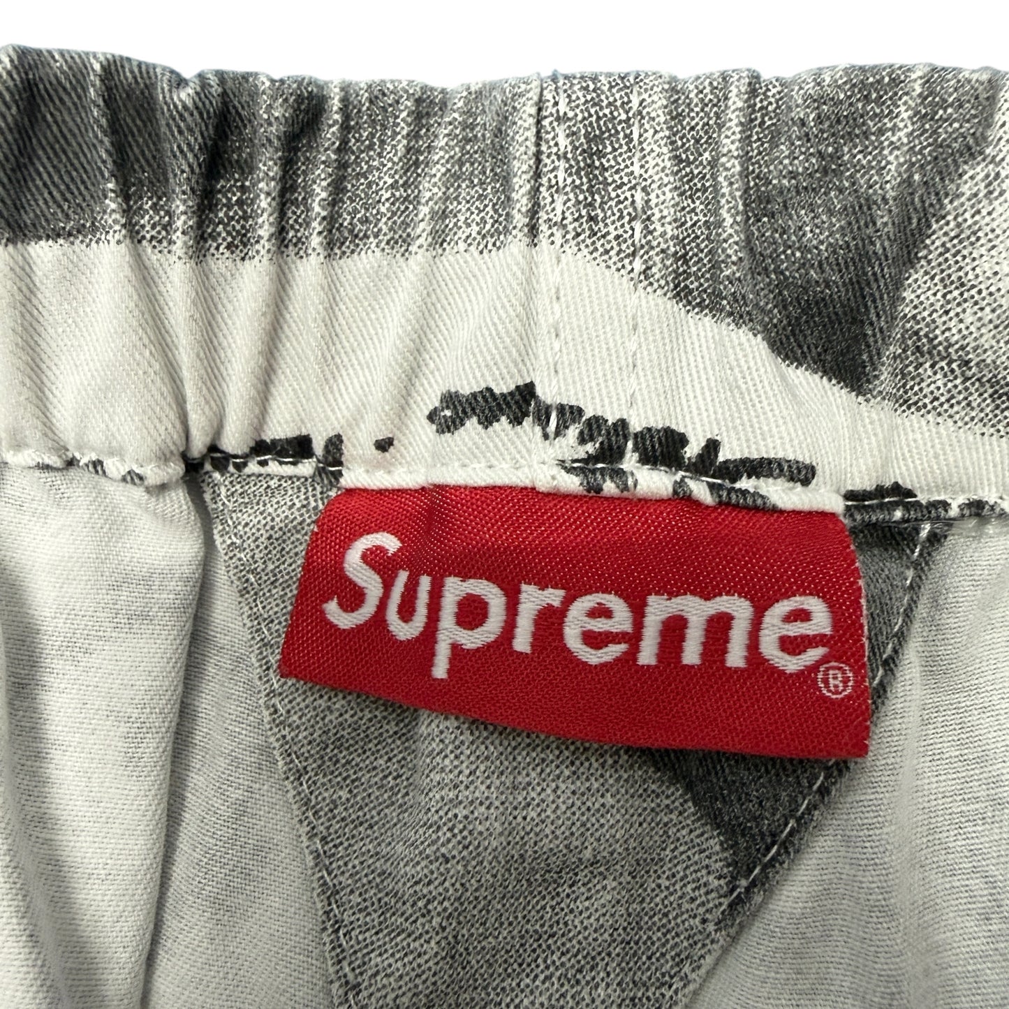 SUPREME 17AW Michelangelo All-Over Print Pant Size S