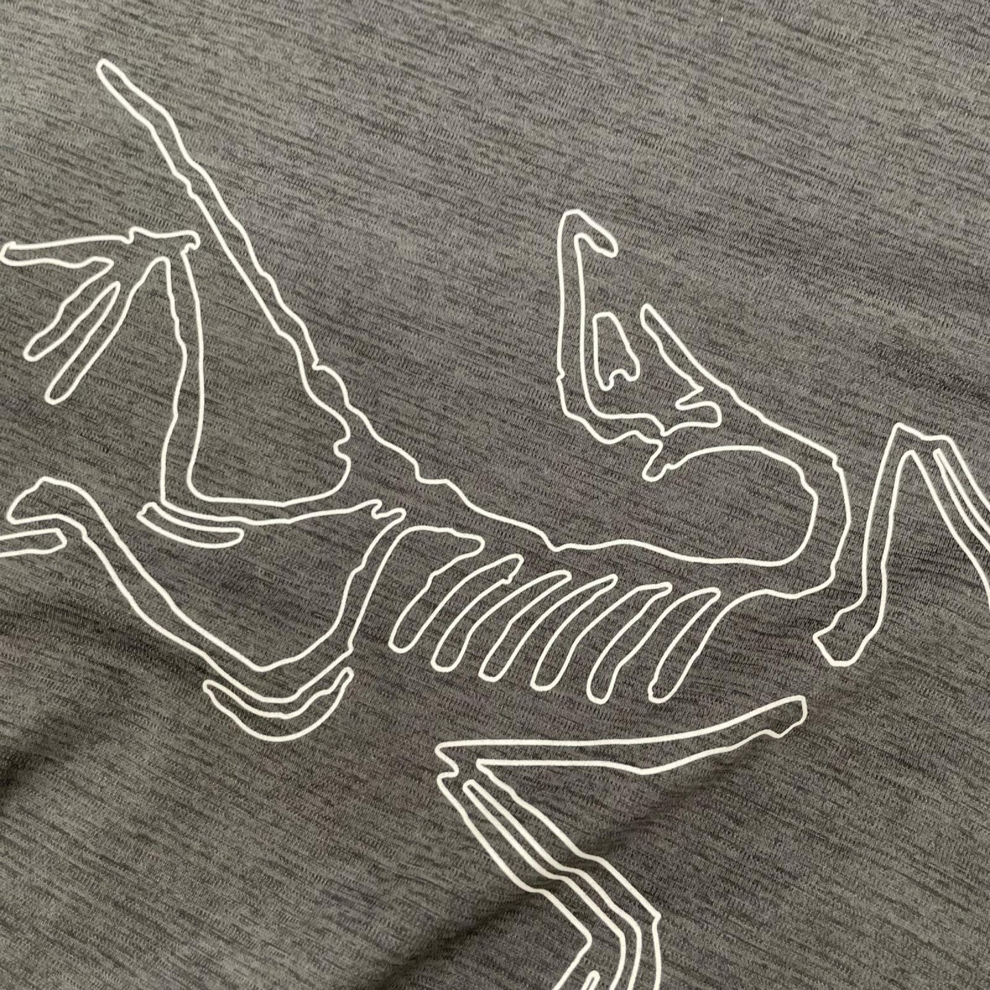 ARC'TERYX X000006348 Cormac Logo SS Tee Gray Size M