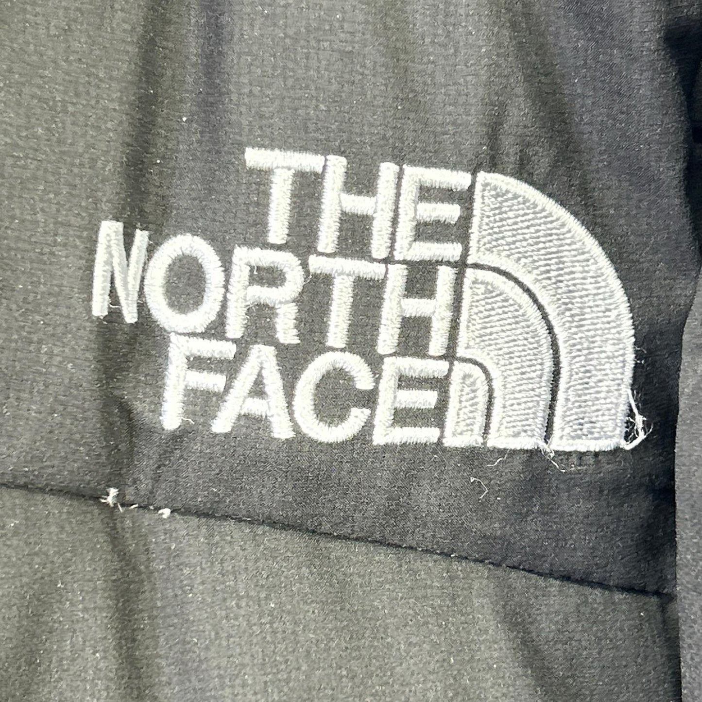 THE NORTH FACE GORE-TEX Baltro Light Jacket Black Size XL