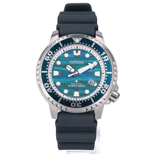 CITIZEN Marine Promaster Eco-Drive Date Watch Silver/Blue