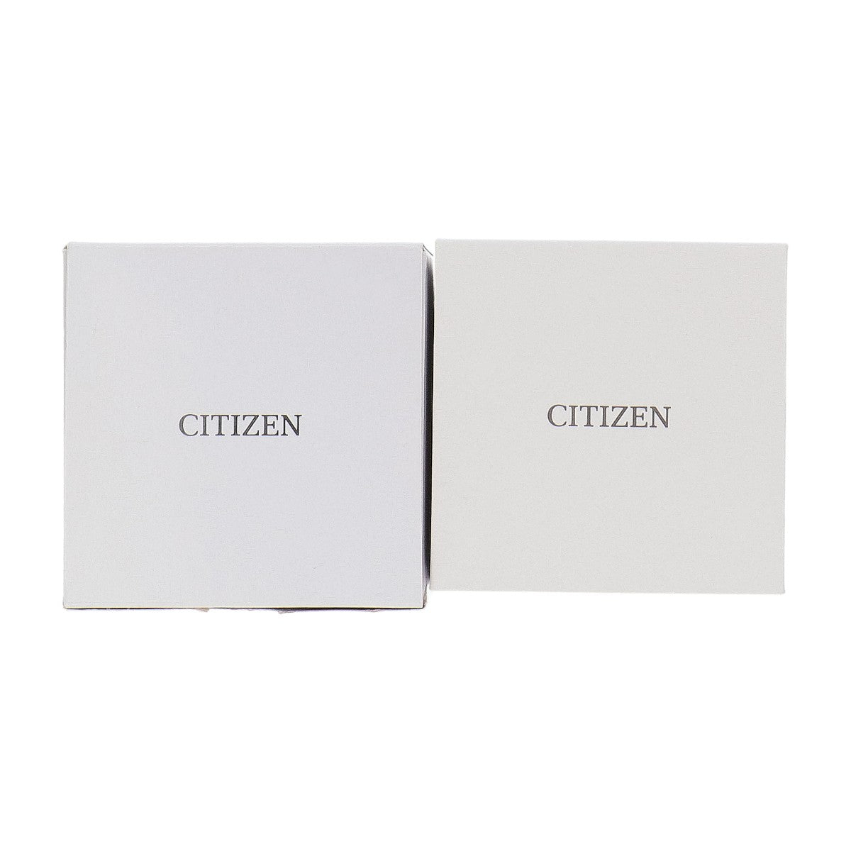 CITIZEN Sky Promaster Chronograph Watch