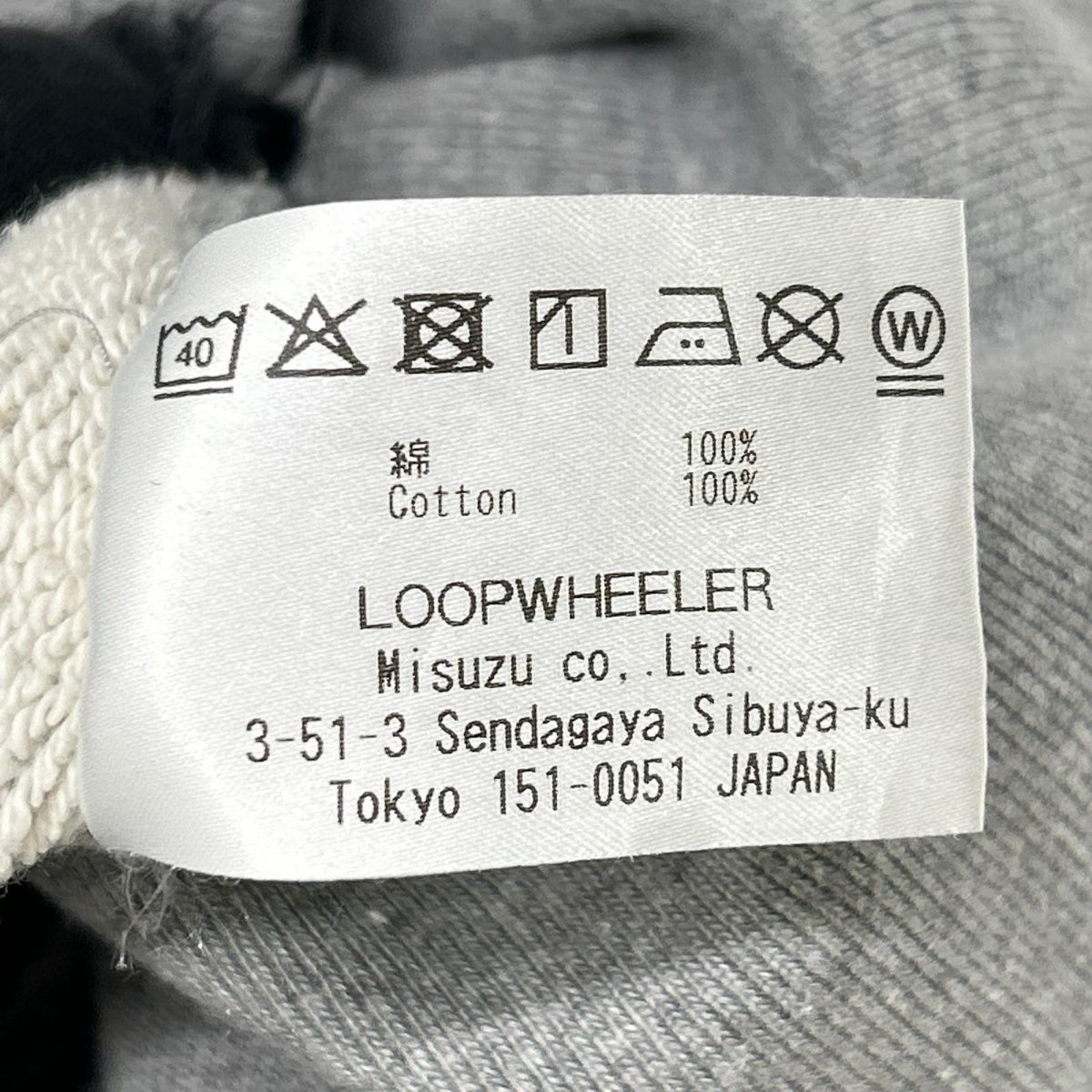 loopwheeler Gray Team Ikuzawa Double V Hoodie