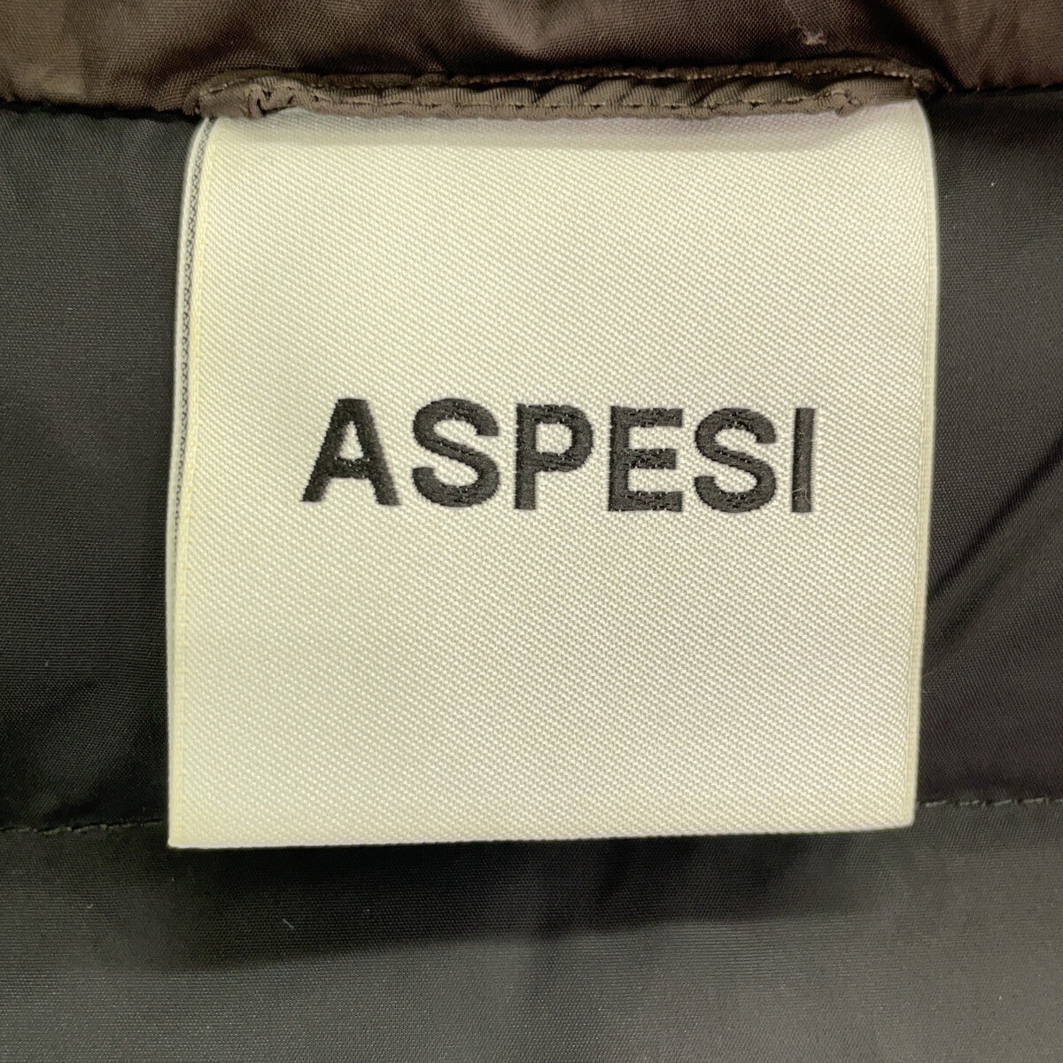 ASPESI W2I 1I58 V006 Brown x Black Down Vest