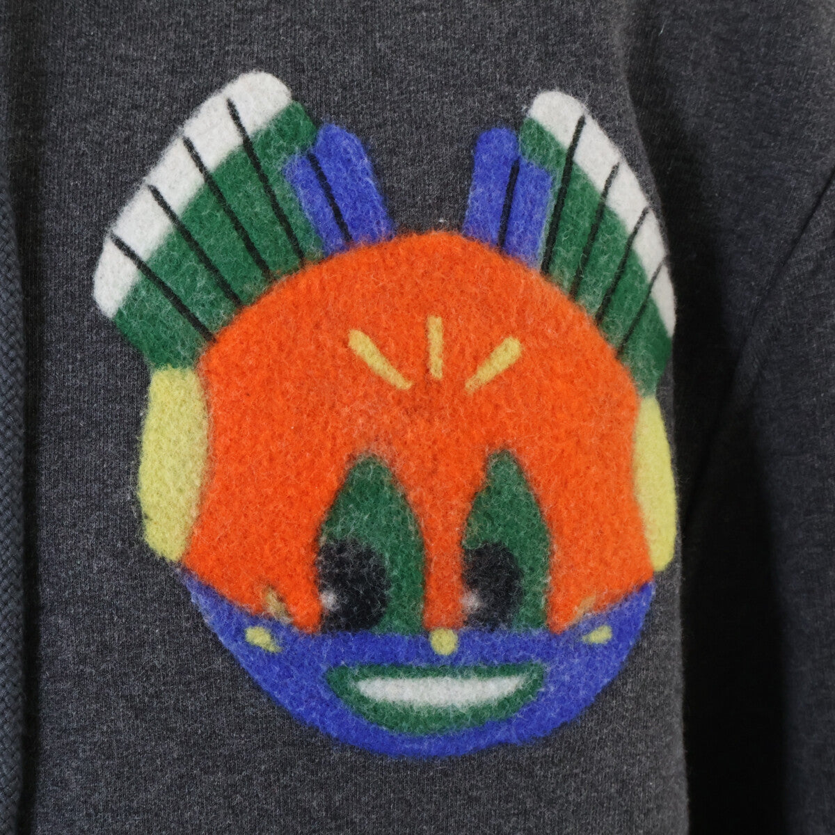 LOEWE xLouis Wain Cotton Pullover Hoodie Size L