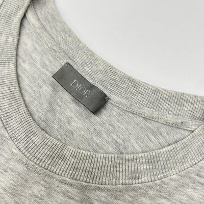 DIOR CD Icon T-Shirt Gray Size XXL