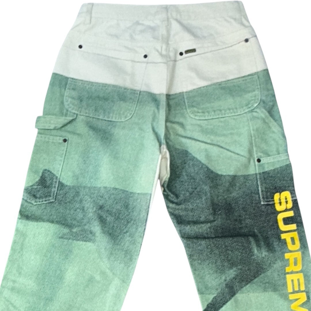 Supreme x Damien Hirst PAINTER PANT Size 30