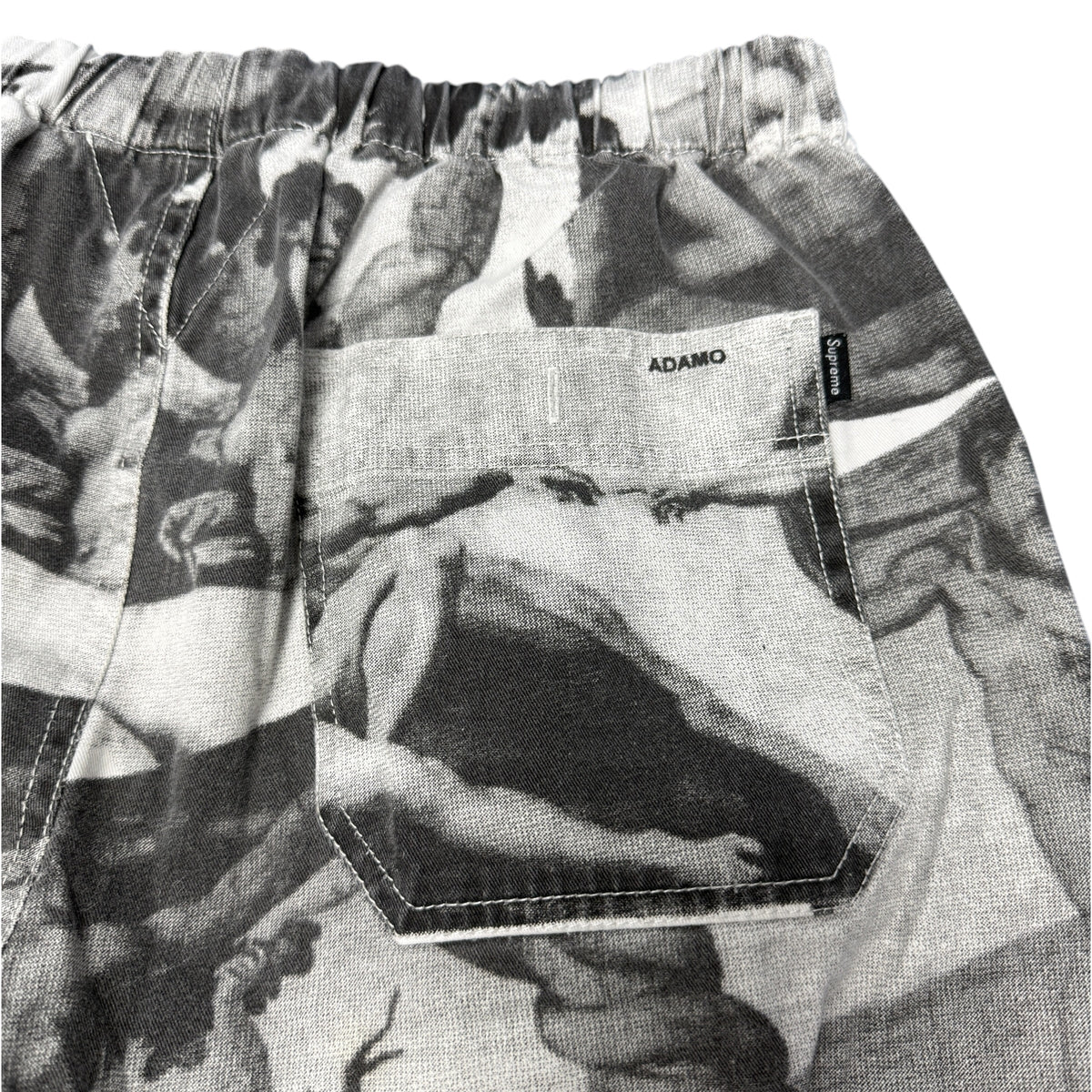 SUPREME 17AW Michelangelo All-Over Print Pant Size S