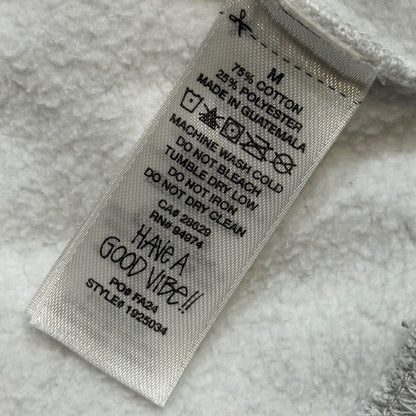 STUSSY 24AW Sport Swear Hood Lion Graphic Light Gray Hoodie Size M