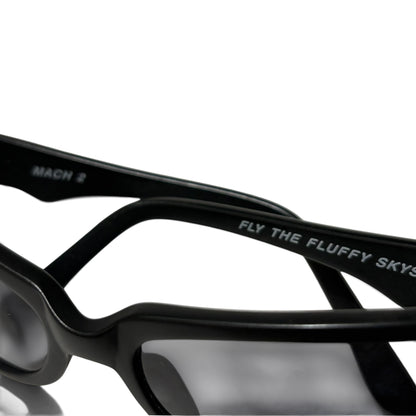 BLACK FLYS Sunglasses
