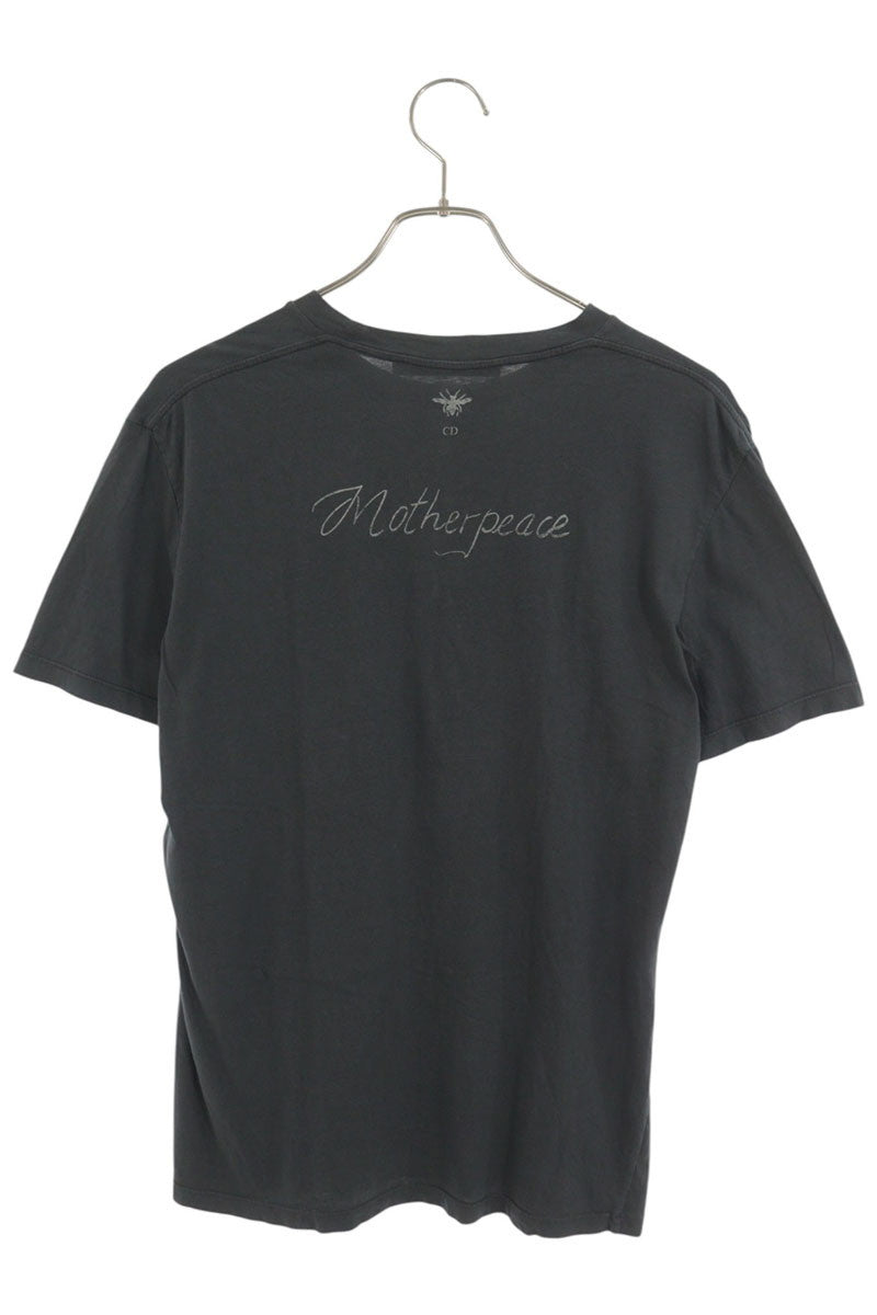 Christian Dior Swords BEE Print T-Shirt Gray Size L