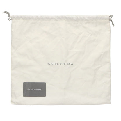 ANTEPRIMA BGS047057 Standard Square Wire Tote Size ONE SIZE
