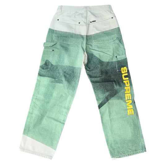 Supreme x Damien Hirst PAINTER PANT Size 30