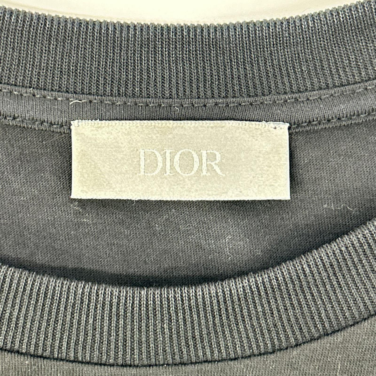 Dior HOMME KAWS BEE Embroidered Crewneck T-Shirt Size M