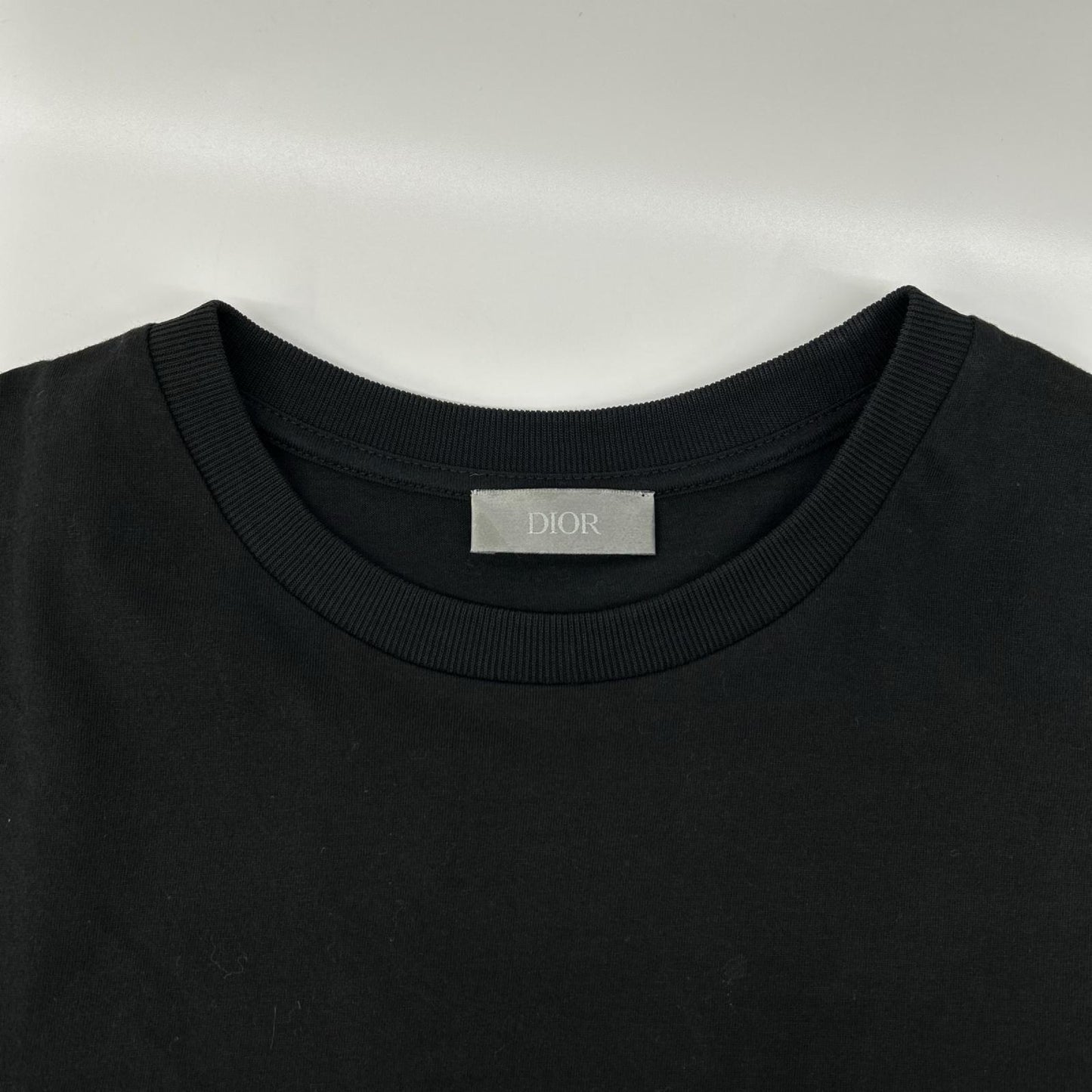 Dior HOMME KAWS BEE Embroidered Crewneck T-Shirt Size M