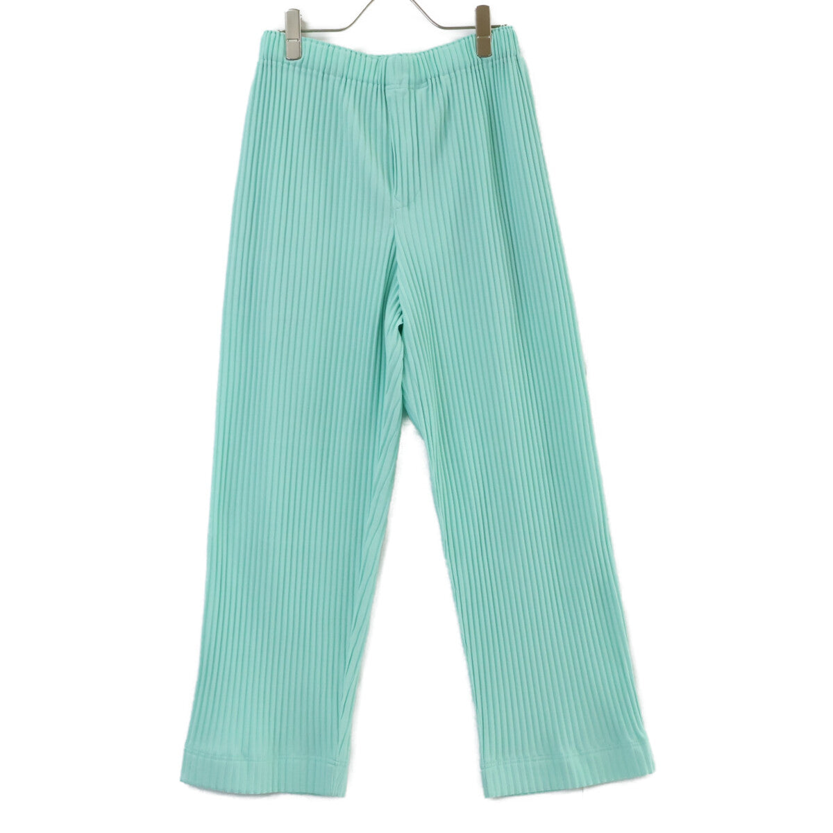 HOMME PLISSE ISSEY MIYAKE Pleated Wide Pants Mint Size 1