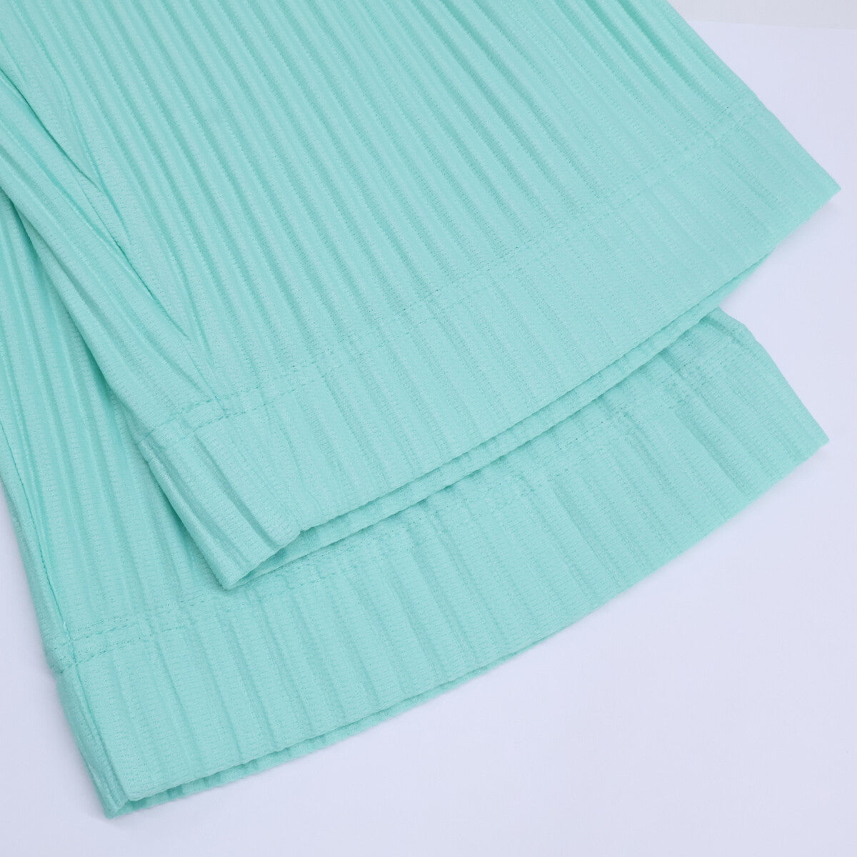 HOMME PLISSE ISSEY MIYAKE Pleated Wide Pants Mint Size 1