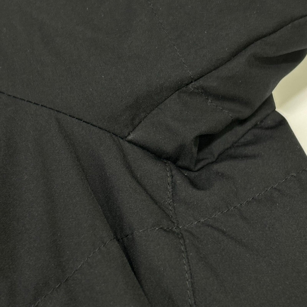 HERNO Laminar GORE-TEX WINDSTOPPER Down Coat Black Size 50