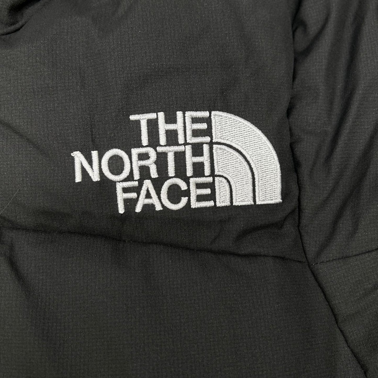 THE NORTH FACE ND91950 Baltro Light Jacket Size L