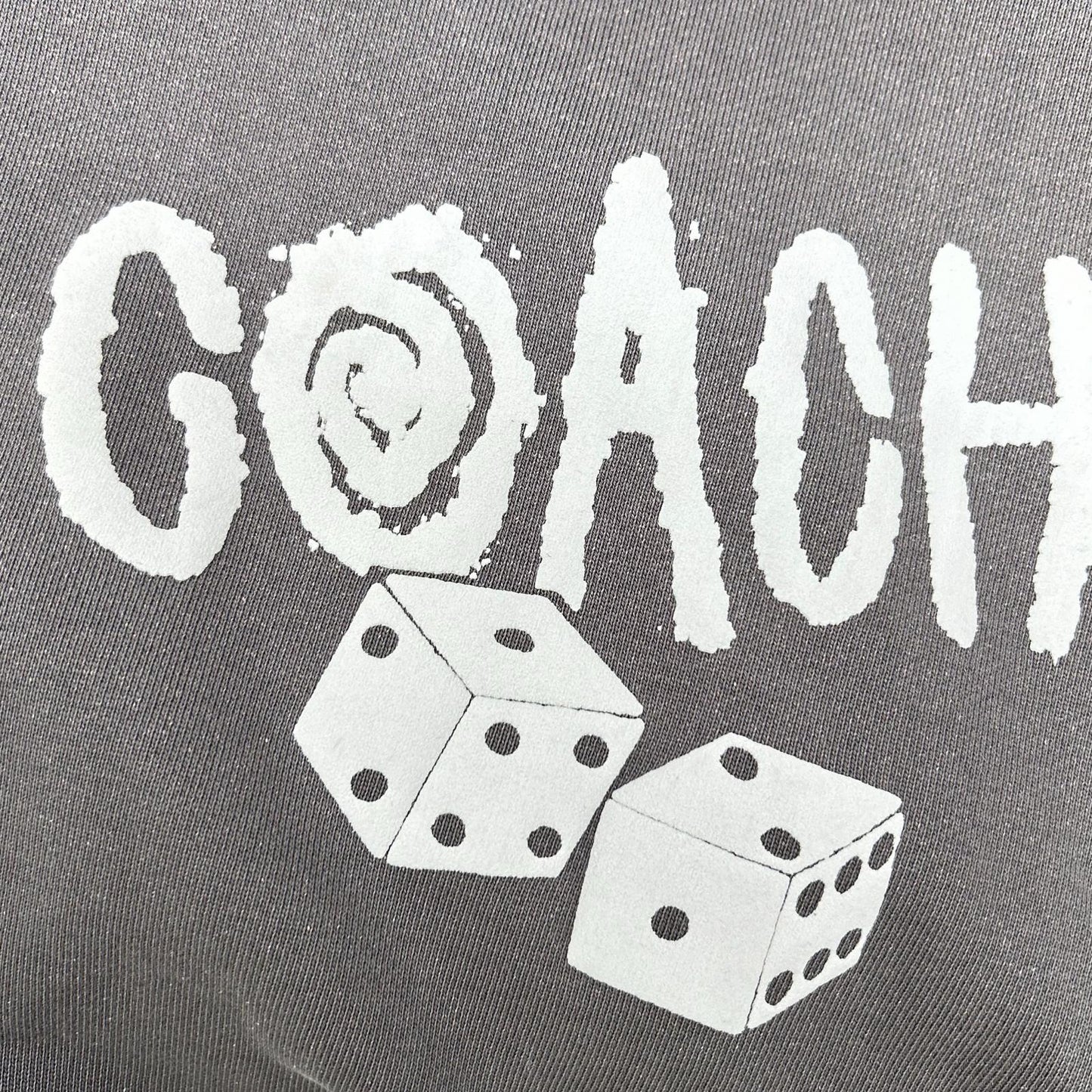 COACH Gray Garment Dye Dice Logo Relaxed Hoodie Size S