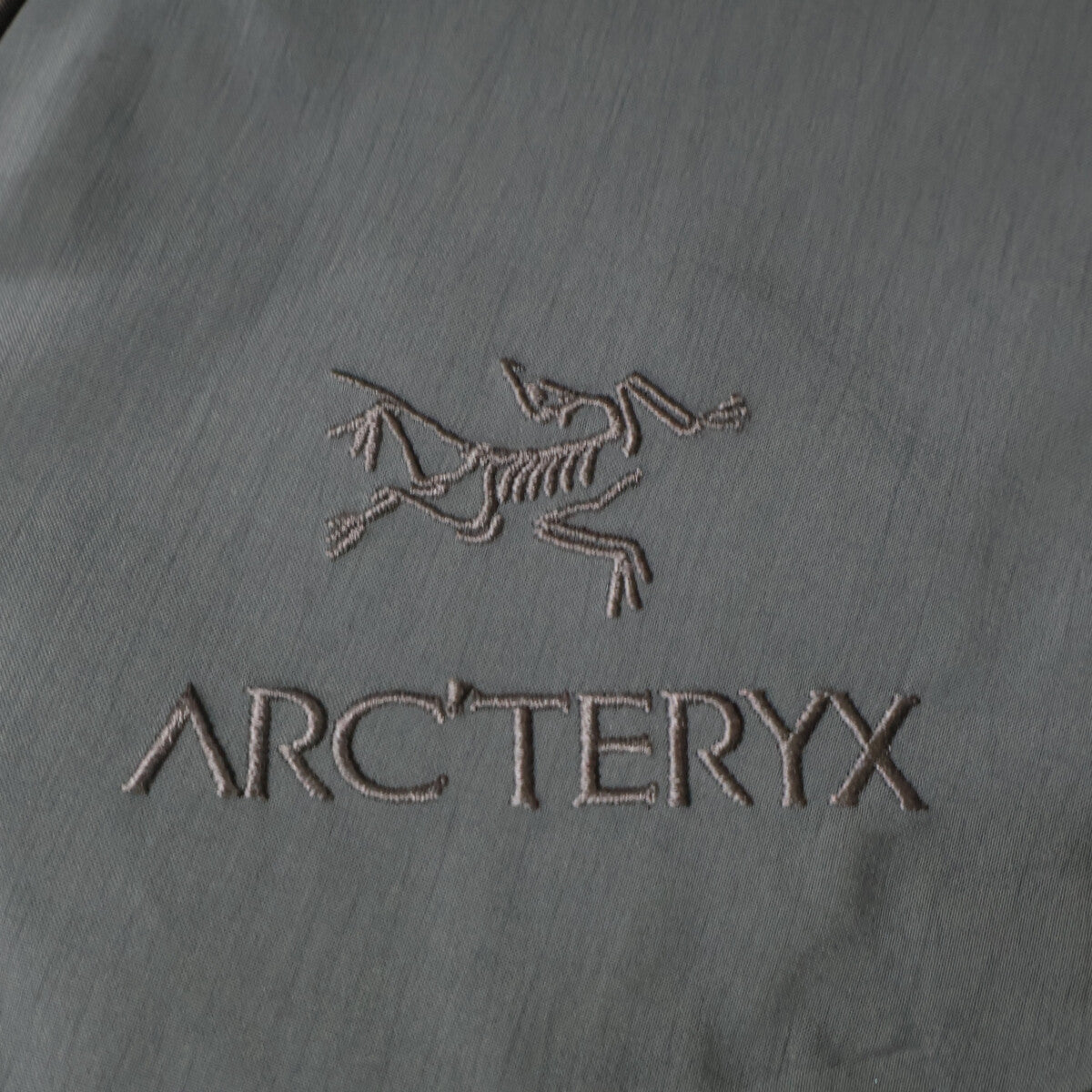 ARC'TERYX LEAF GORE-TEX Alpha Jacket Gray Size S/P