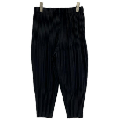 Issey Miyake HOMME PLISSE 25AW Faded Pleat Trousers Size 1