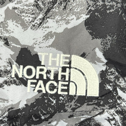 THE NORTH FACE Novelty Aspen Mountain Jacket Gray Size S