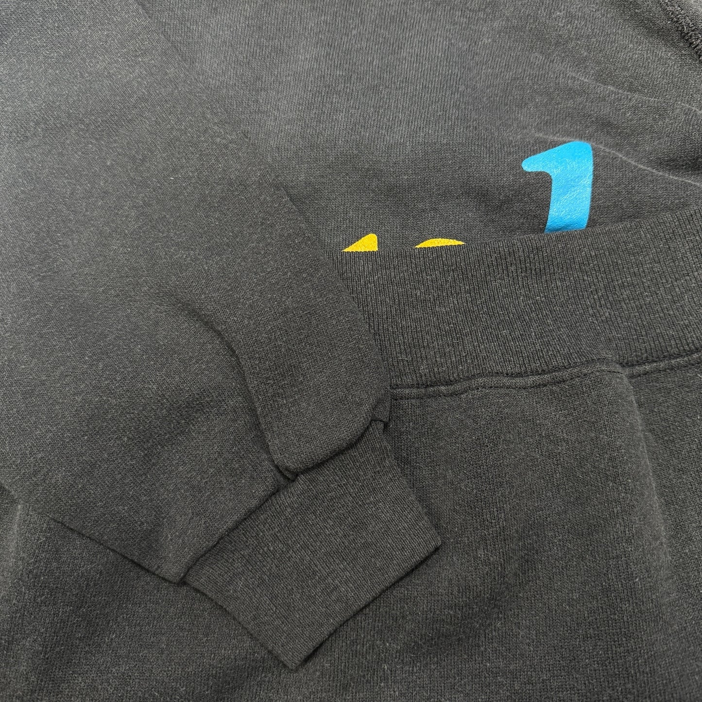 Apple 80s/90s Rainbow Logo Hanes Vintage Sweatshirt Size L
