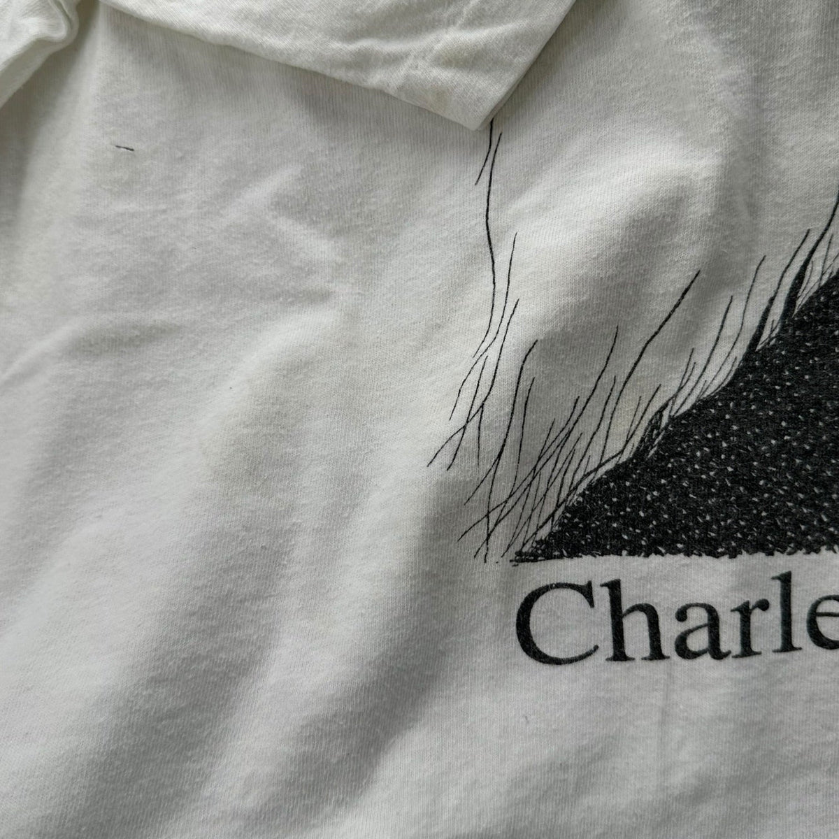 Largely Literary Series 90s Charles T-Shirt Multi Size XL